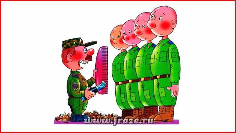Что значит грести под одну гребенку: смысл и значения выражения