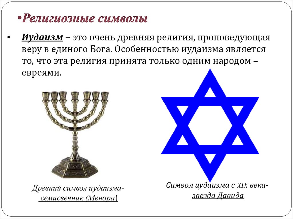 Нос, форма, пропорции – полезные статьи о лице на научном портале esteti