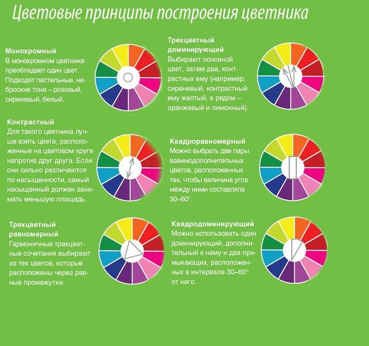 Значения цветов – символика различных цветов