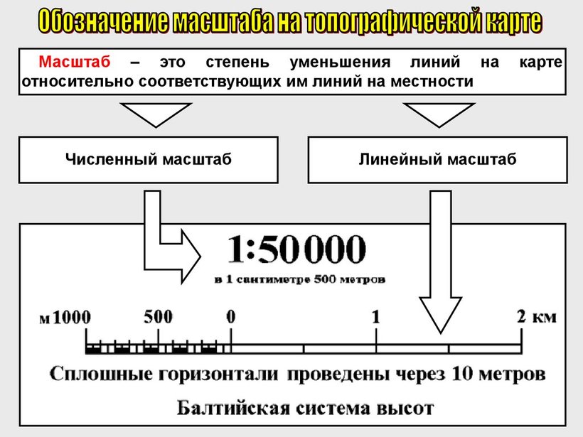 Виды масштабов