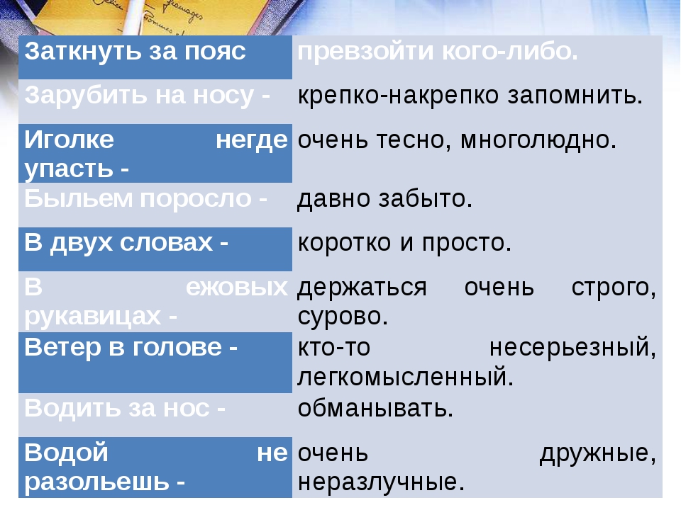 «для всего в русском языке есть великое множество слов»: 8 сочинений для школы 2024 года