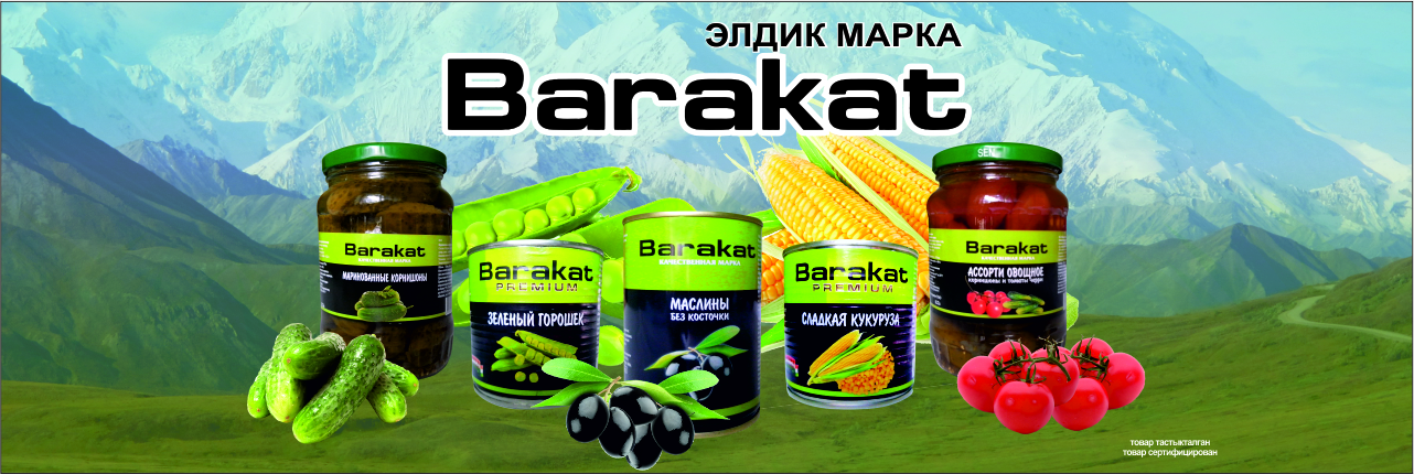 Что такое баракатная сестренка и каково ее значение