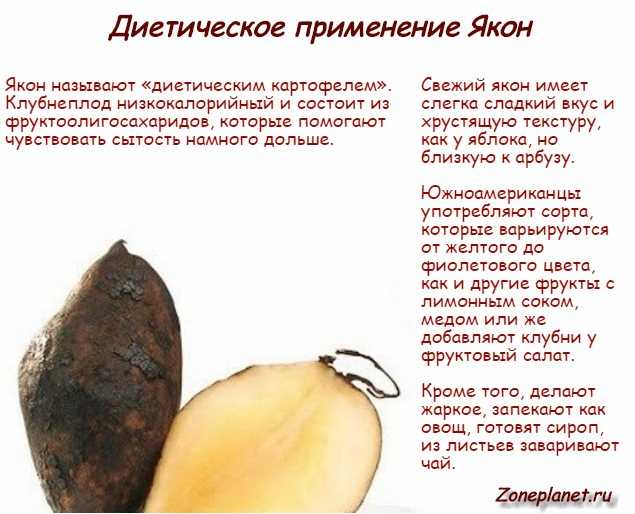 Выражение конские яблоки является одним из наиболее известных и употребляемых поговорок в русском языке Оно имеет несколько значений и употребляется в