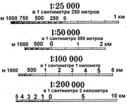 Масштаб и его виды