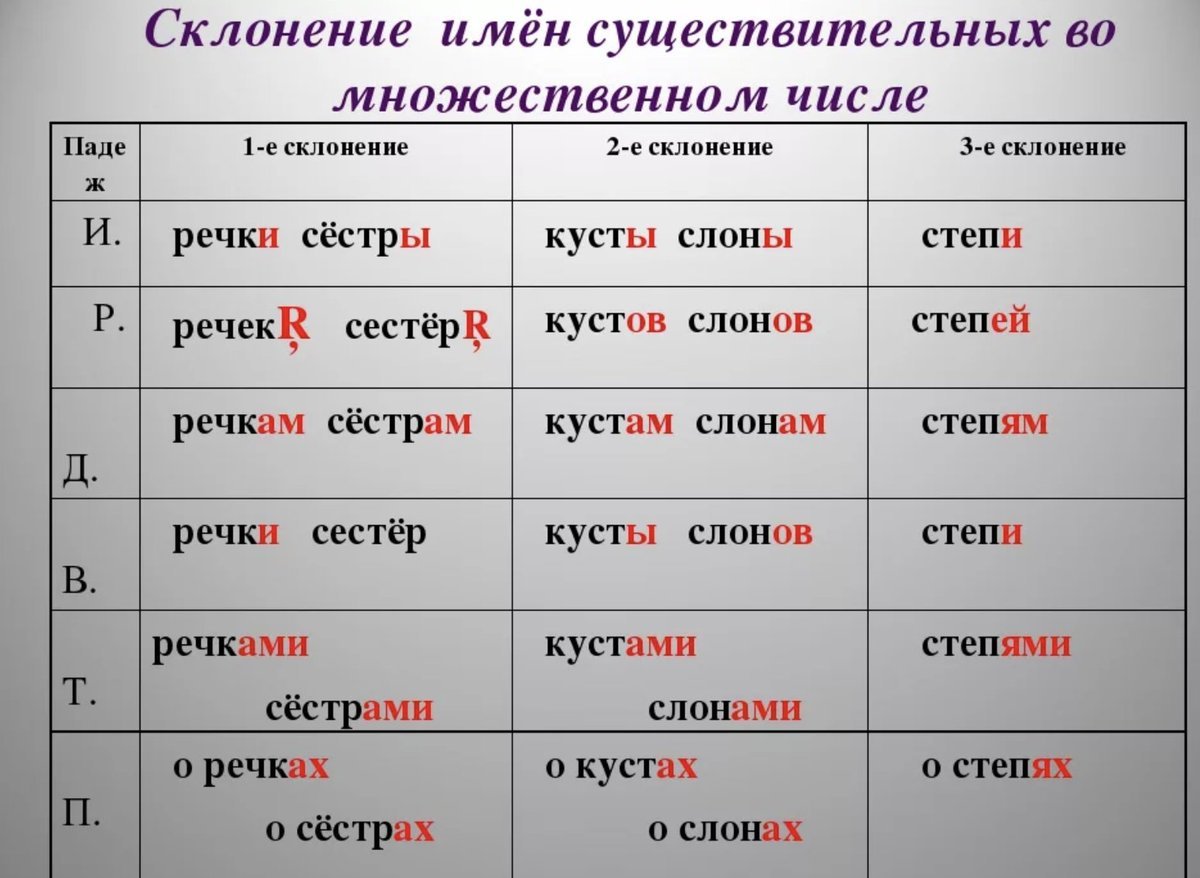 Ложные друзья переводчика: когда сходство слов из разных языков может оказаться ловушкой