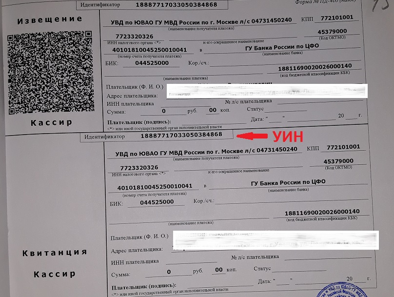 Как узнать унп своей организации: подробный гайд