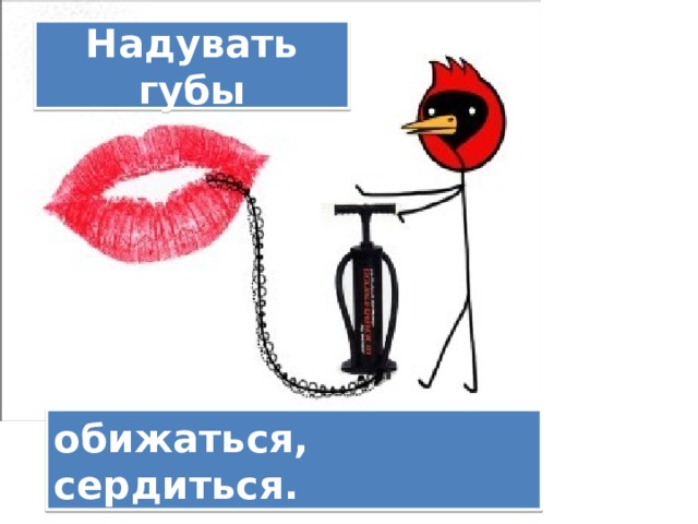 Выражение "губа не дура": значение, этимология. выражение "губа не дура": значение, этимология что значит губа не дура