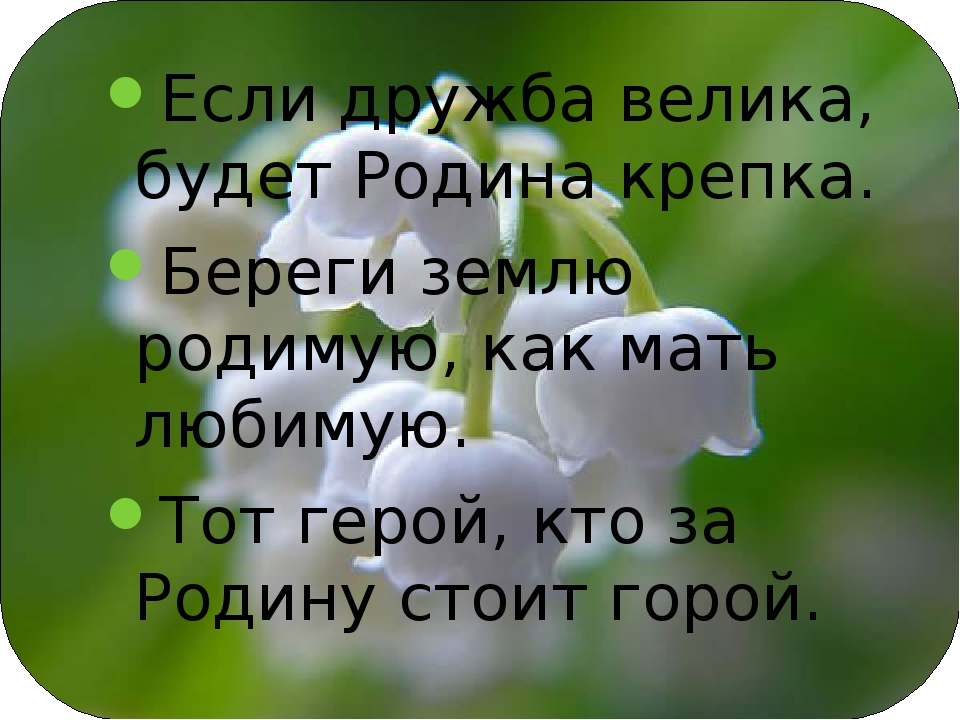 Береги землю родимую, как мать любимую смысл пословицы на страницу плиз срочно - узнавалка.про