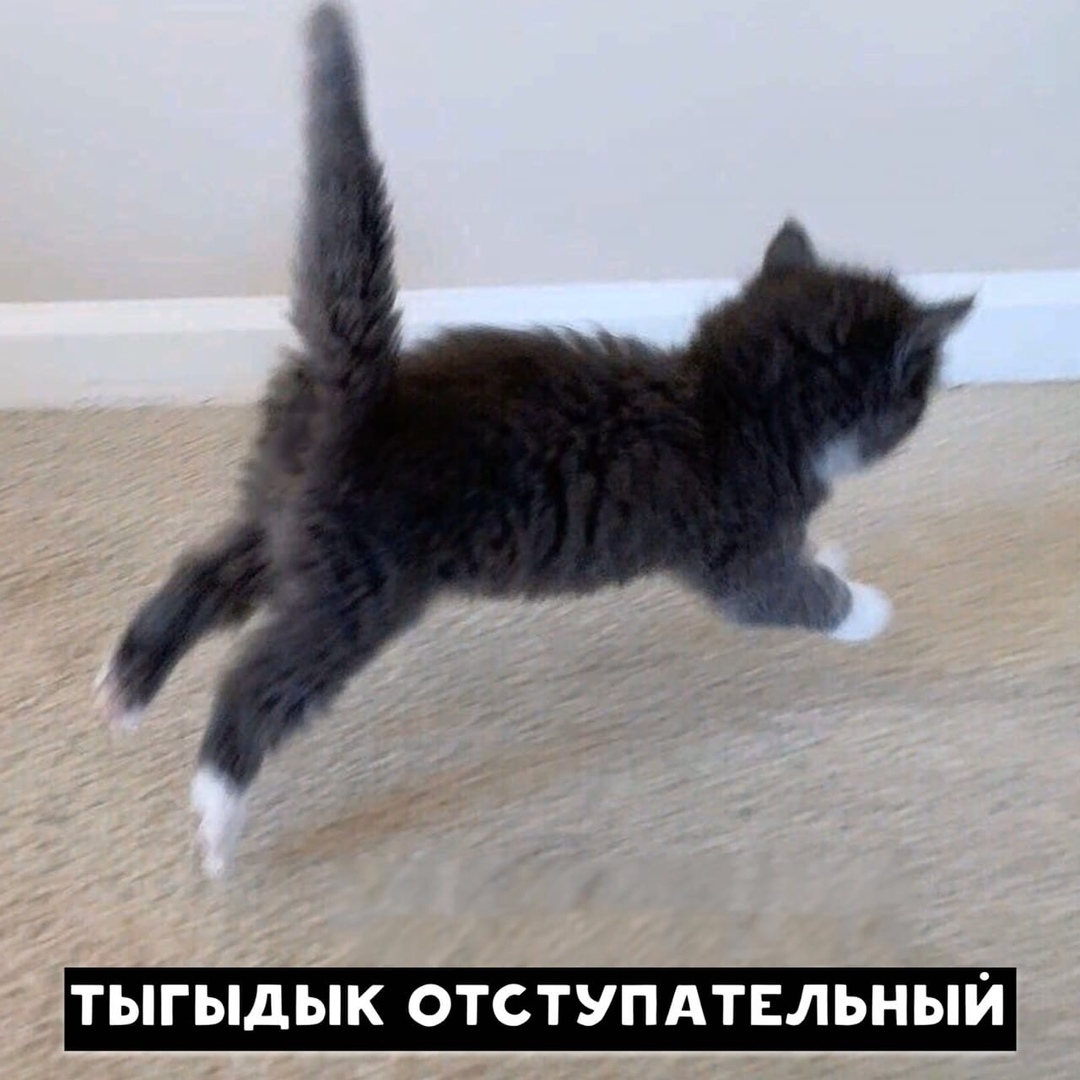 Словарь диалектных слов - нина петровна баранова