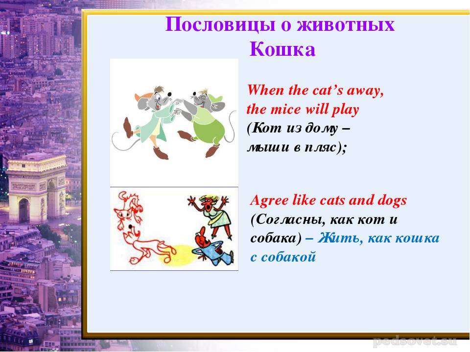 Наводить смуту что это значит