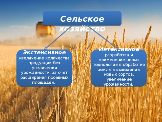 Интенсивный и экстенсивный методы ведения хозяйства