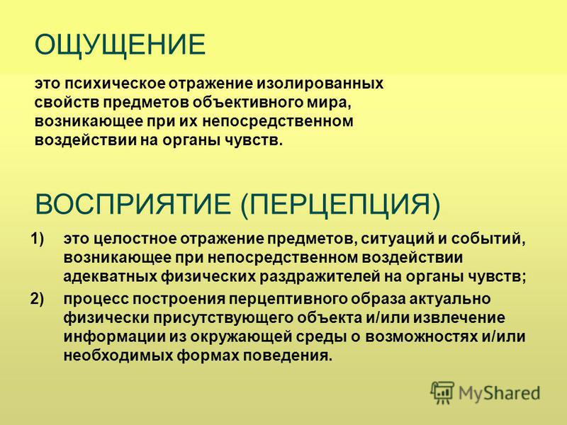 Общее представление об ощущениях