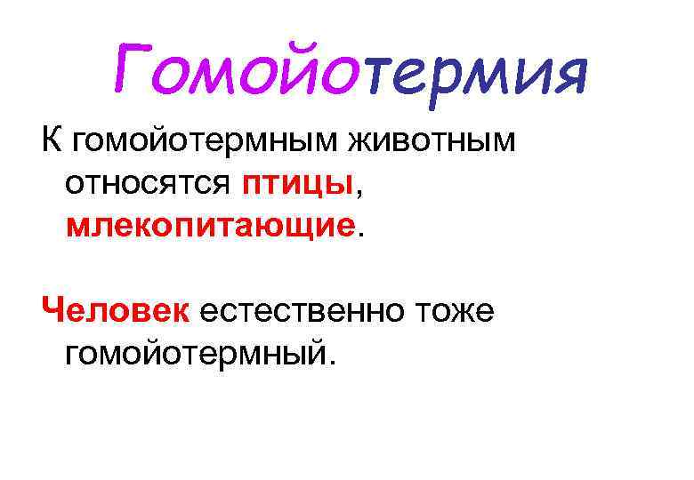Животные гомойотермные