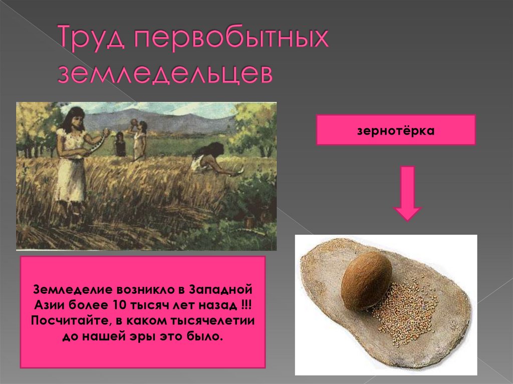 Что такое зернотерка история 5 класса: исторический инструмент и его использование