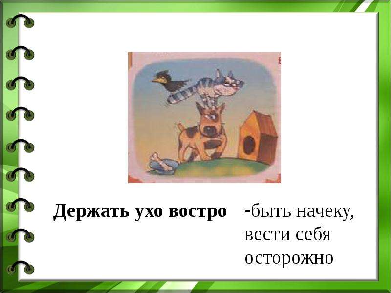 Развесить уши: значение фразеологизма и история происхождения