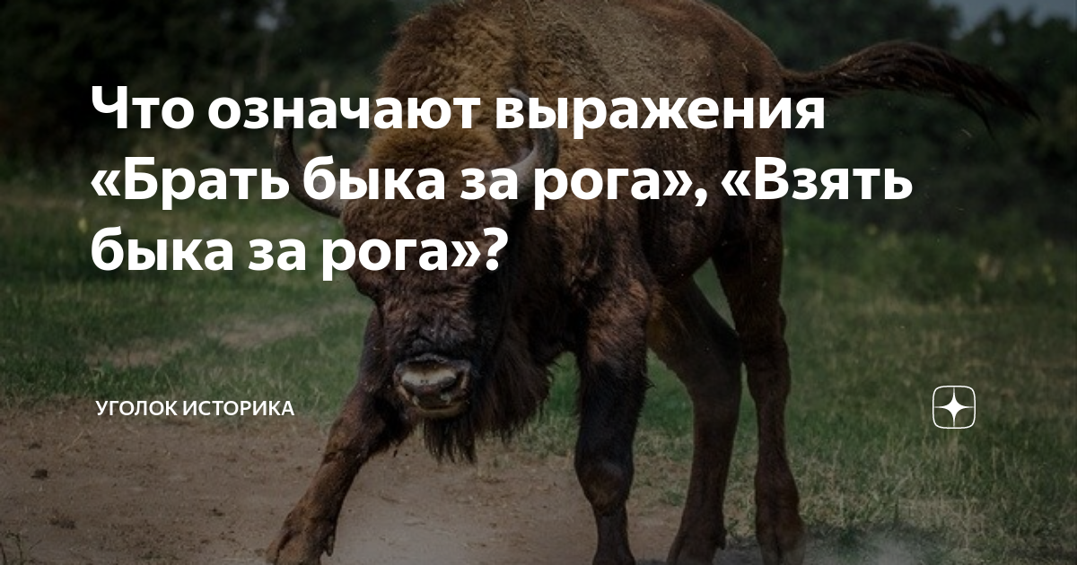 Словарь что значит бранный жар