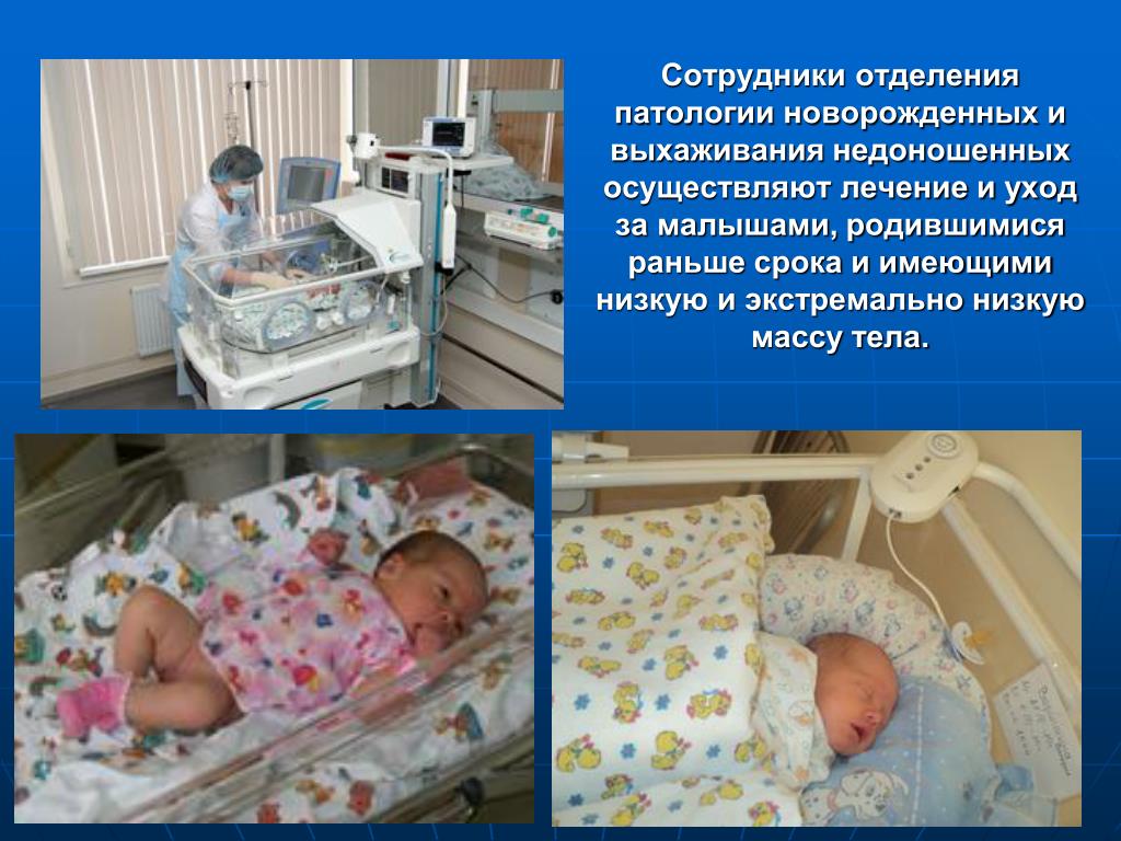 Основные проблемы в деятельности отделения патологии беременных