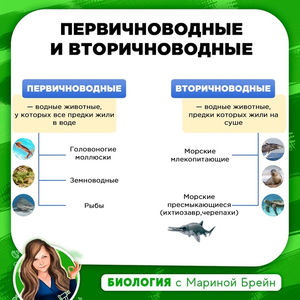 Обитатели солёных и пресных водоёмов (окружающий мир 3 класс): флора и фауна рек, озёр, морей и океанов