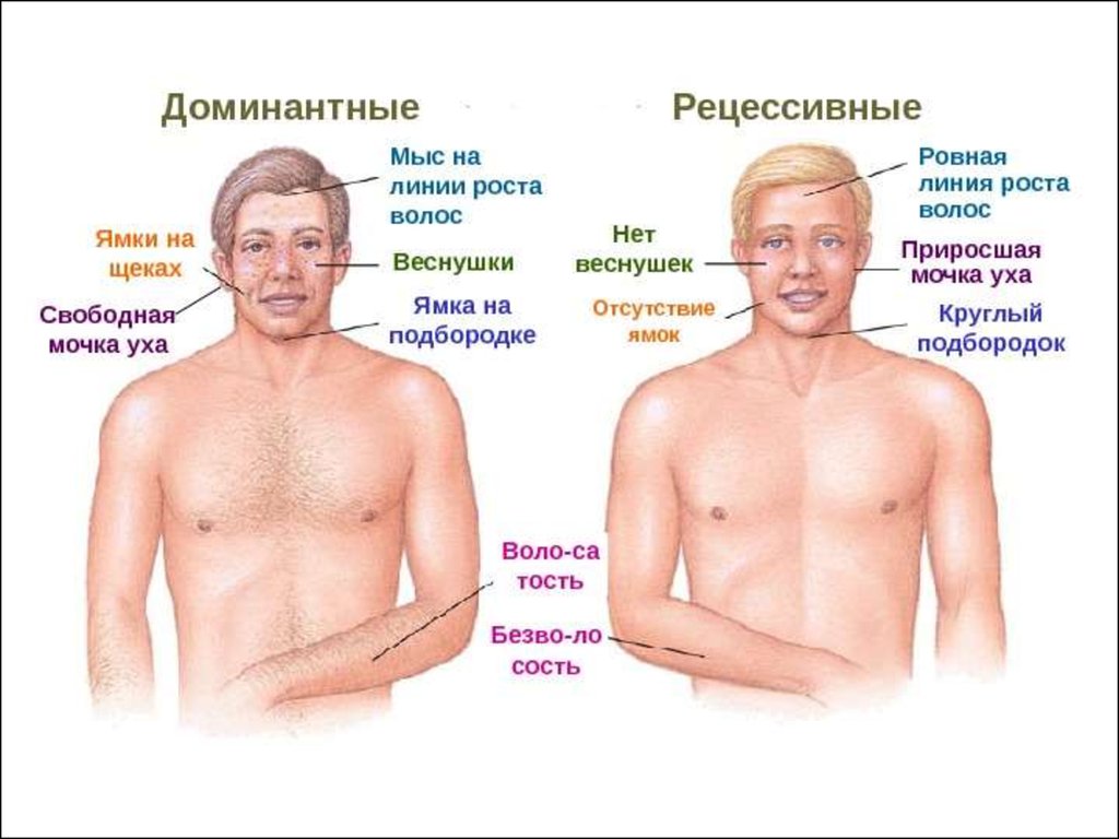 Параграф 21 - естествознание. 11 класс. габриелян о. с.