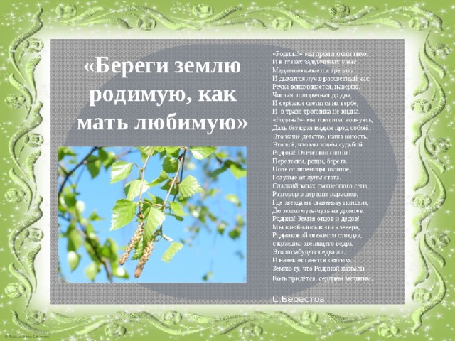 Береги землю родимую,
как мать любимую