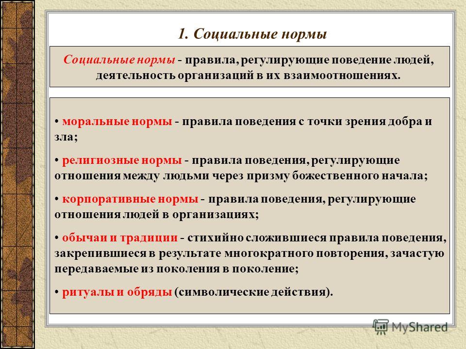 Структура и регулирование правовых норм: их составные элементы и примеры