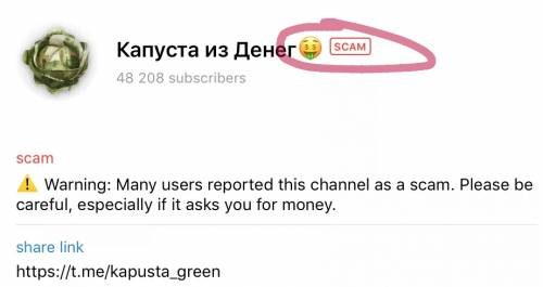 Что такое скам в интернете сленг • признаки скам-проекта