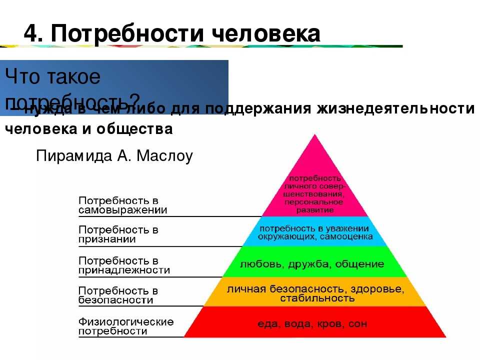 Современная структура общества - умскул учебник