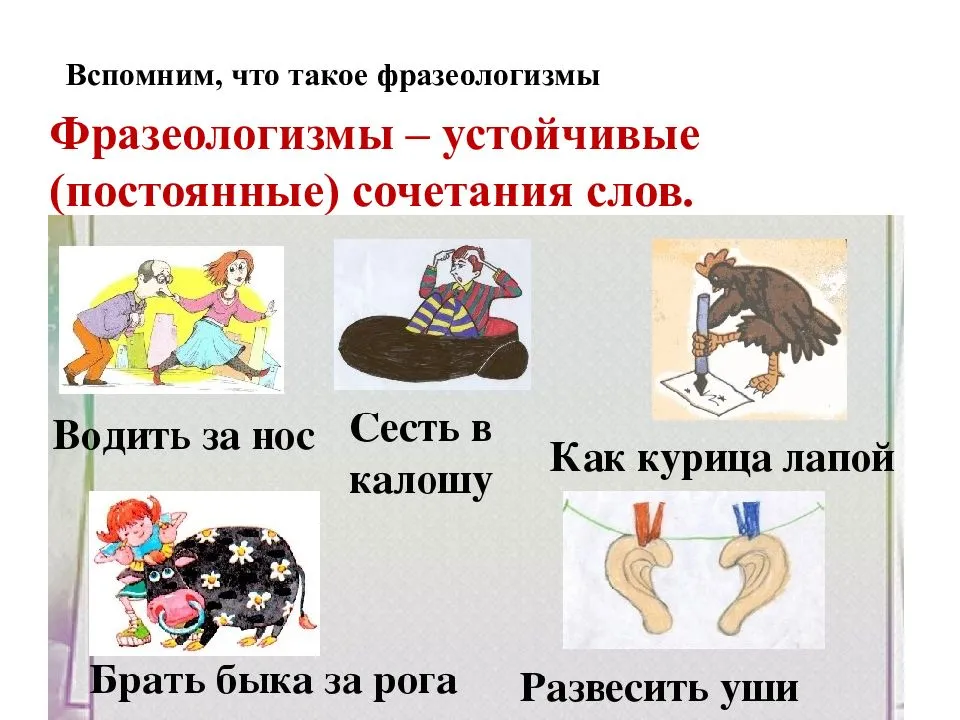 Фразеологизмы: что такое и как грамотно использовать их в тексте