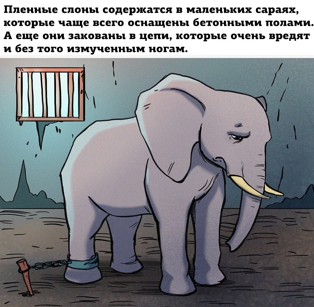 Прокрастинация. метод «слонов» и «лягушек»