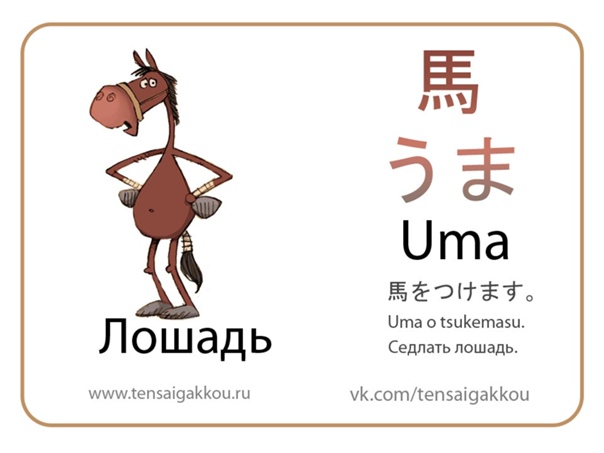 Что означает "камона" на японском? новый леви в современном мире
