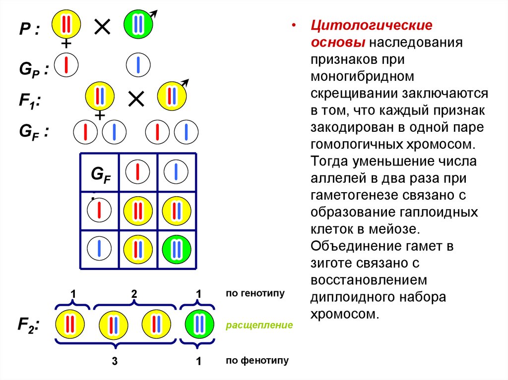 Конспект "методы селекции" - учительpro