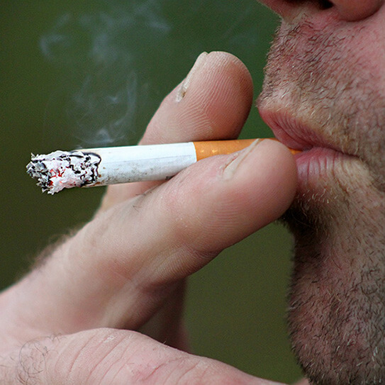Zaza weed strain information & effects