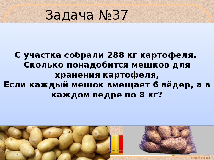 Бизнес на сосновых шишках как начинать