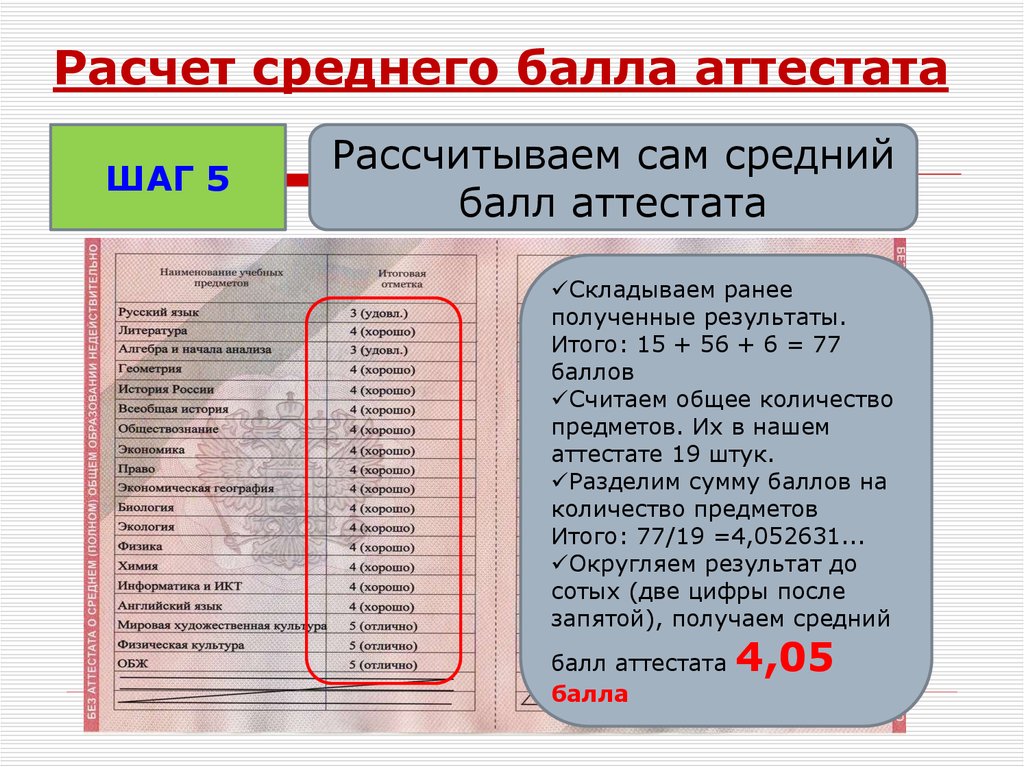 Какие предметы включает аттестат за 9 класс в 2023 году