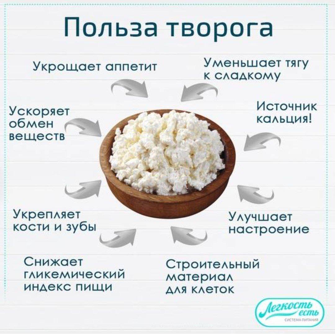 Наш классический творог - польза и вкус — молочная культура