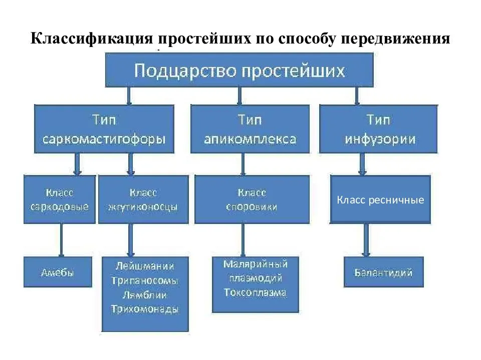Секундарные изменения в легких