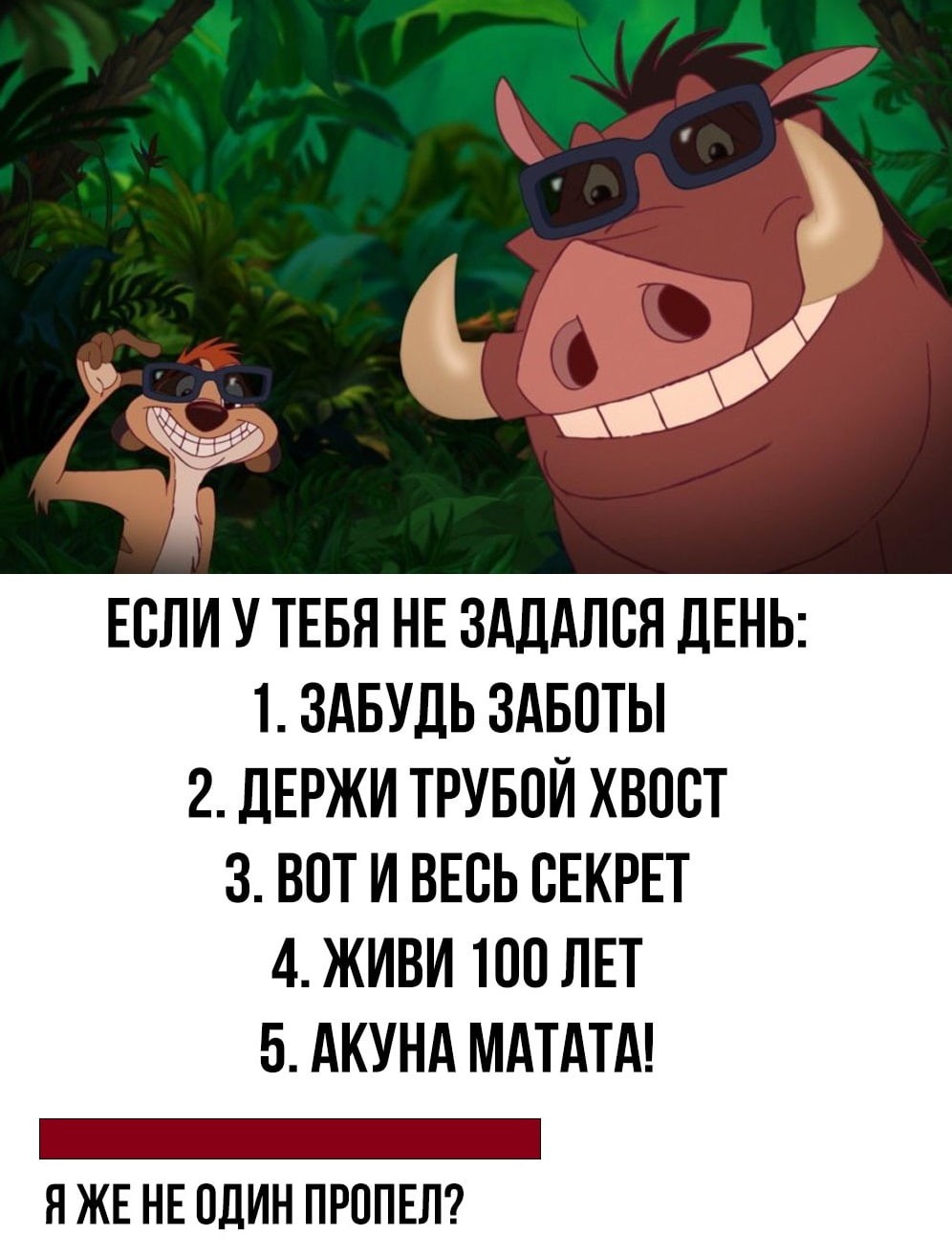 Что означает акуна. английский в песнях: hakuna matata из мультфильма король лев. «король лев» и «белый лев кимба»