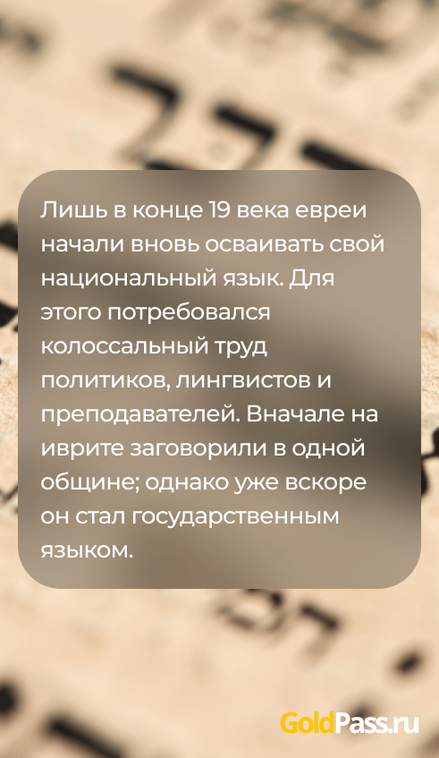 Фауда (netflix) | напряженный израильский триллер хорош?