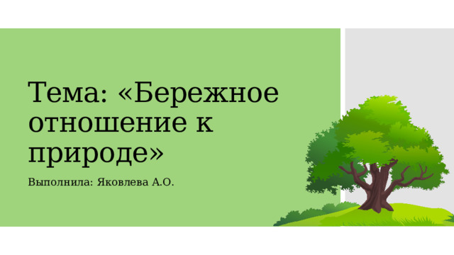 Что такое лесные ресурсы в географии: определение, классификация, значение