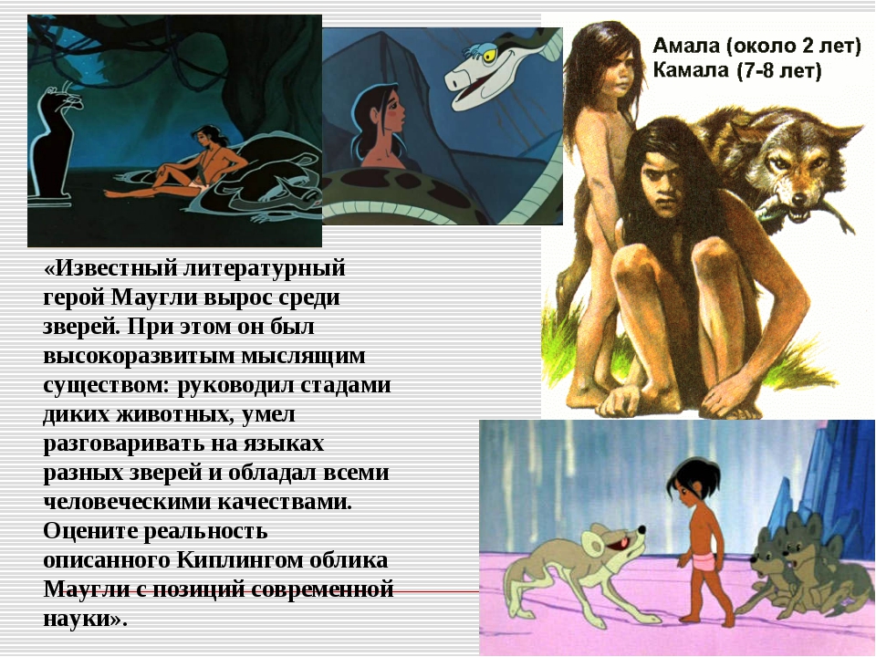 Кто такой маугли?. кто есть кто в мире искусства