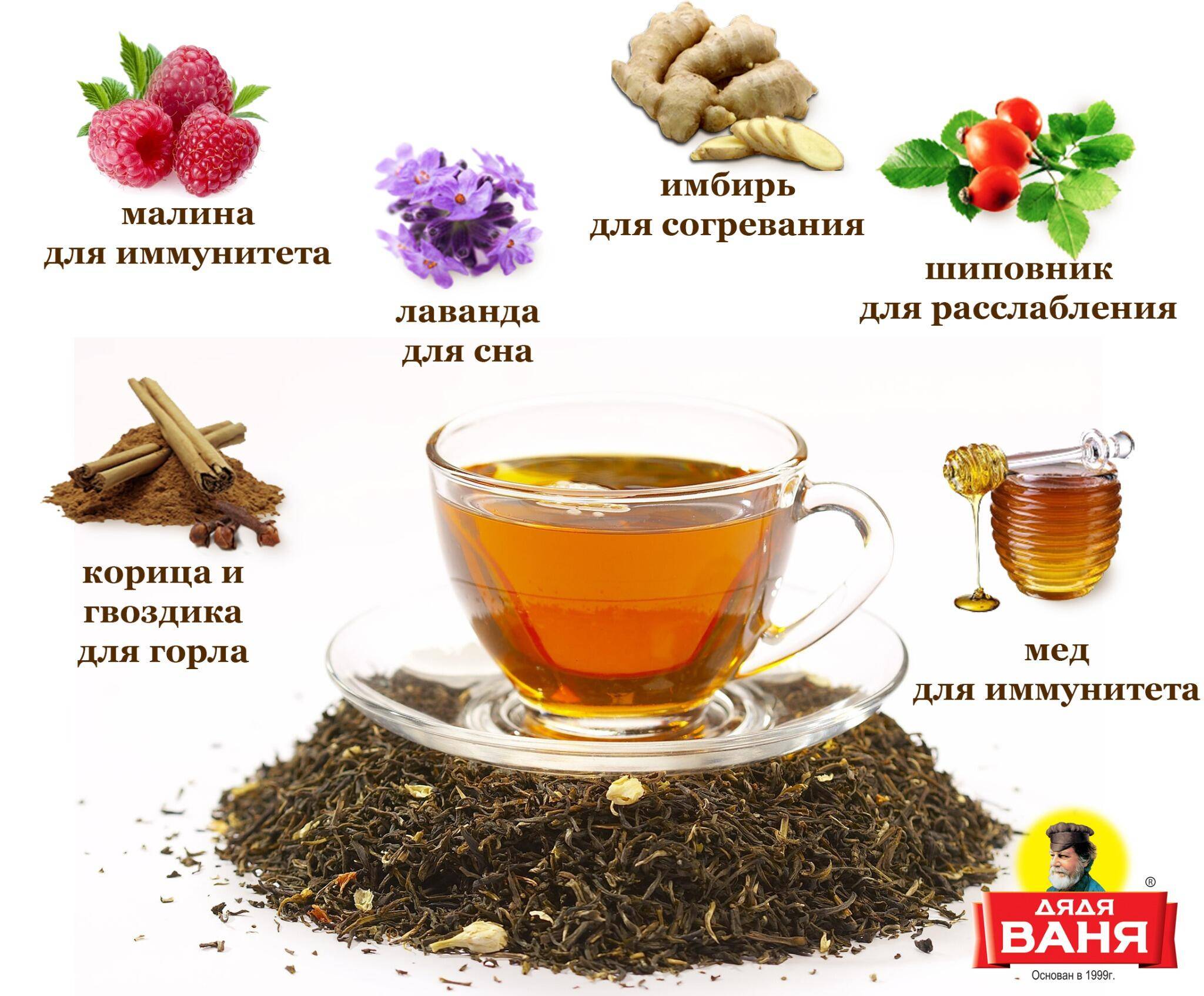 Живая речь. словарь разговорных выражений статьи на букву "ч"