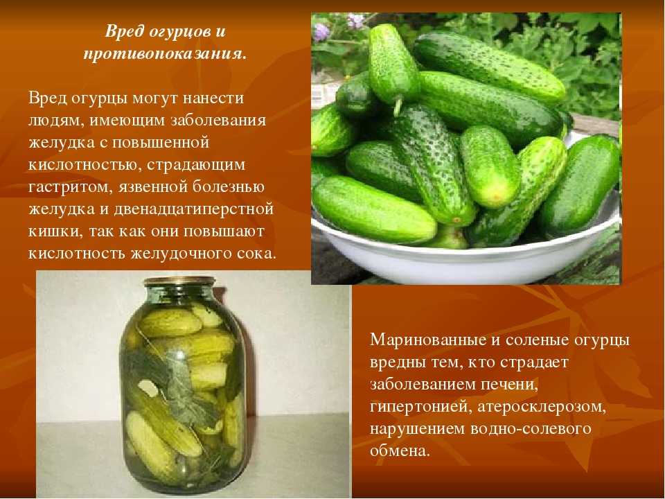 Интересное об огурцах для детей. интересные и забавные факты про огурцы. огурец как приданное