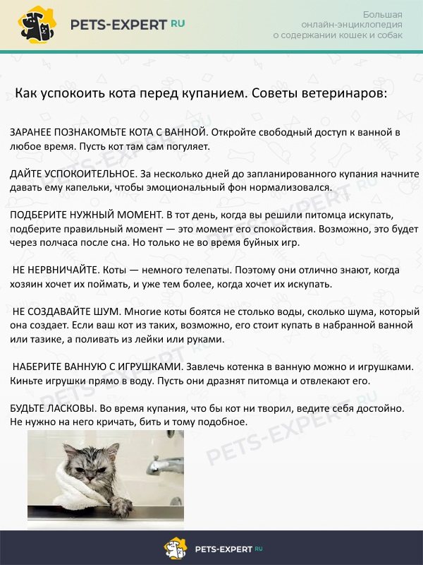 Глава 8. период полового созревания (пубертат). половое воспитание детей