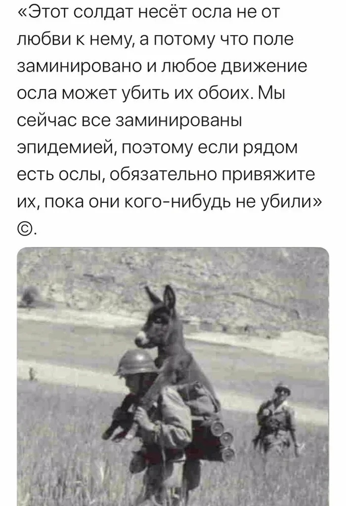 Карабахским армянам придется задаться двумя вопросами русских классиков