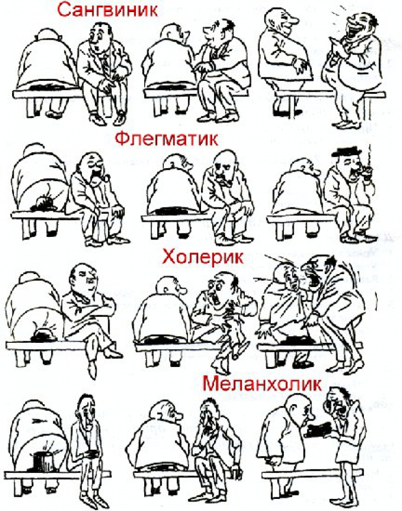 Темперамент человека