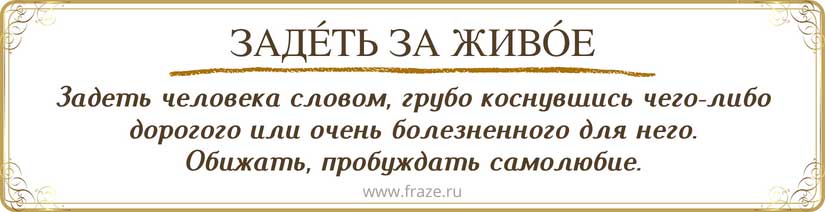 Что значит задел за живое: понятие, примеры, последствия