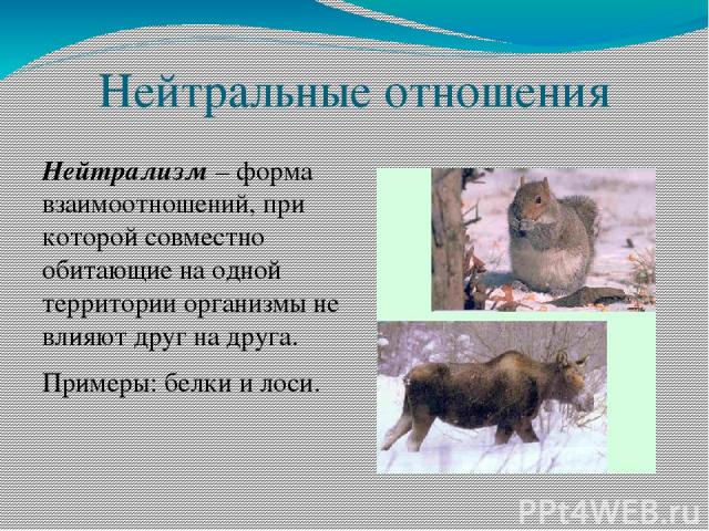 Что значит слово нейтральное отношение. нейтрально - это как? значение и примеры