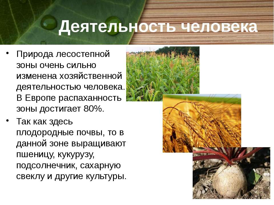 Виды хозяйственной деятельности