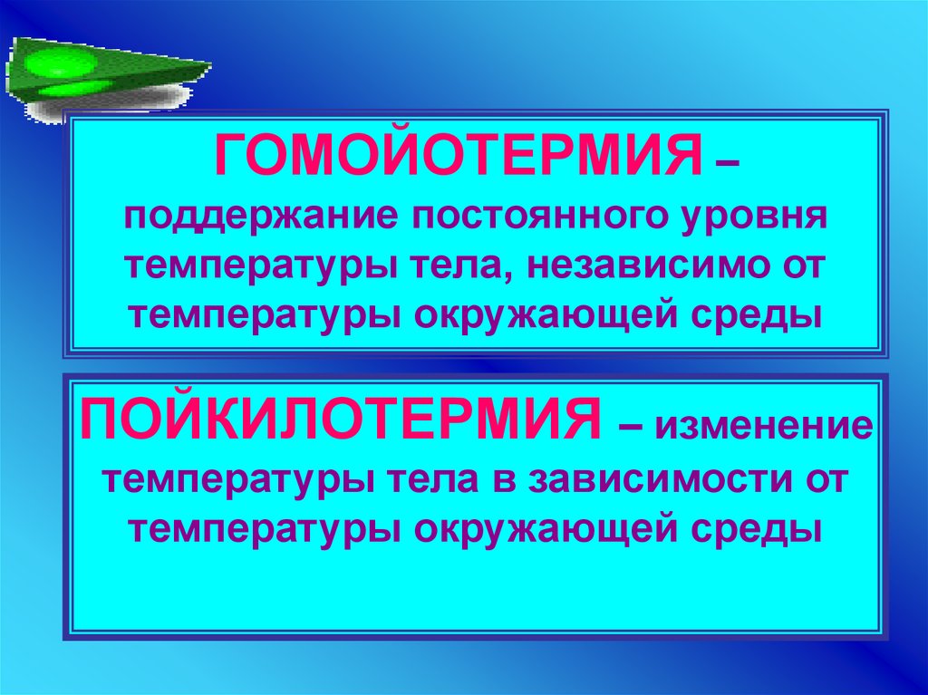 Глава vii. физиология теплообмена [1981 георгиева с.а., беликина н.в., прокофьева л.и., коршунов г.в., киричук в.ф., головченко в.м., токаева л.к. - физиология человека]