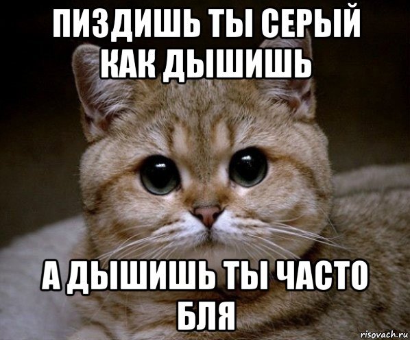 Разбираемся в янасыпыс: что это за явление и что оно означает